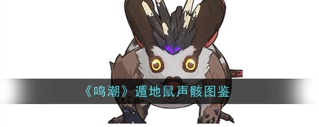 ݵͼ