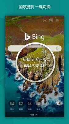 bingͼ3