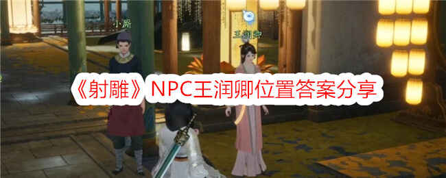 NPCص˵
