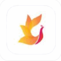 �ۺ�Ӱ�ӹ���