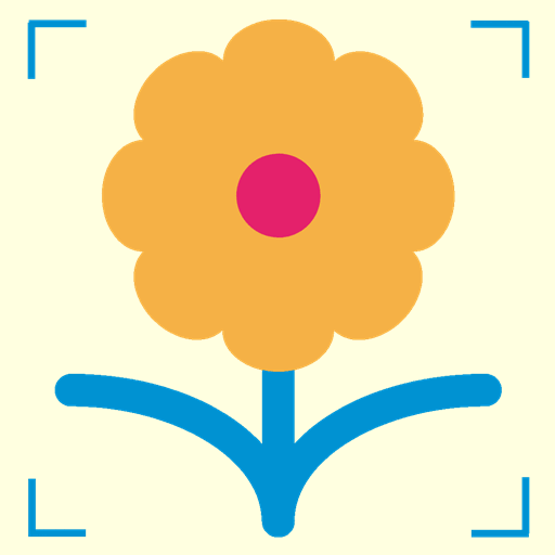 ʶ