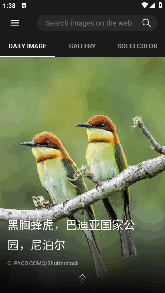 ��Ӧ��ֽ��ͼ1