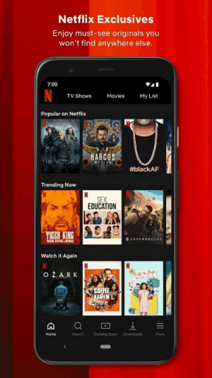 Netflixͼ1