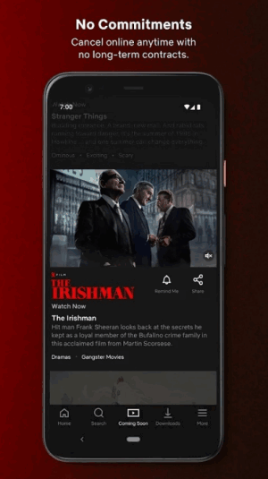 Netflixͼ3