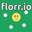florrioϷ