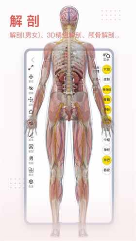 3dbodyappͼ3