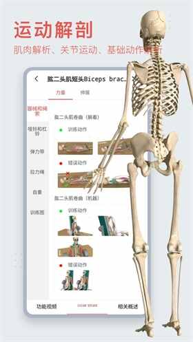 3dbodyappͼ1