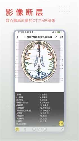 3dbodyappͼ2