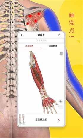 3DBodyʽͼ4