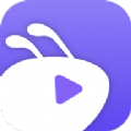 ����Ӱ�Ӻ���TV���Ű�����