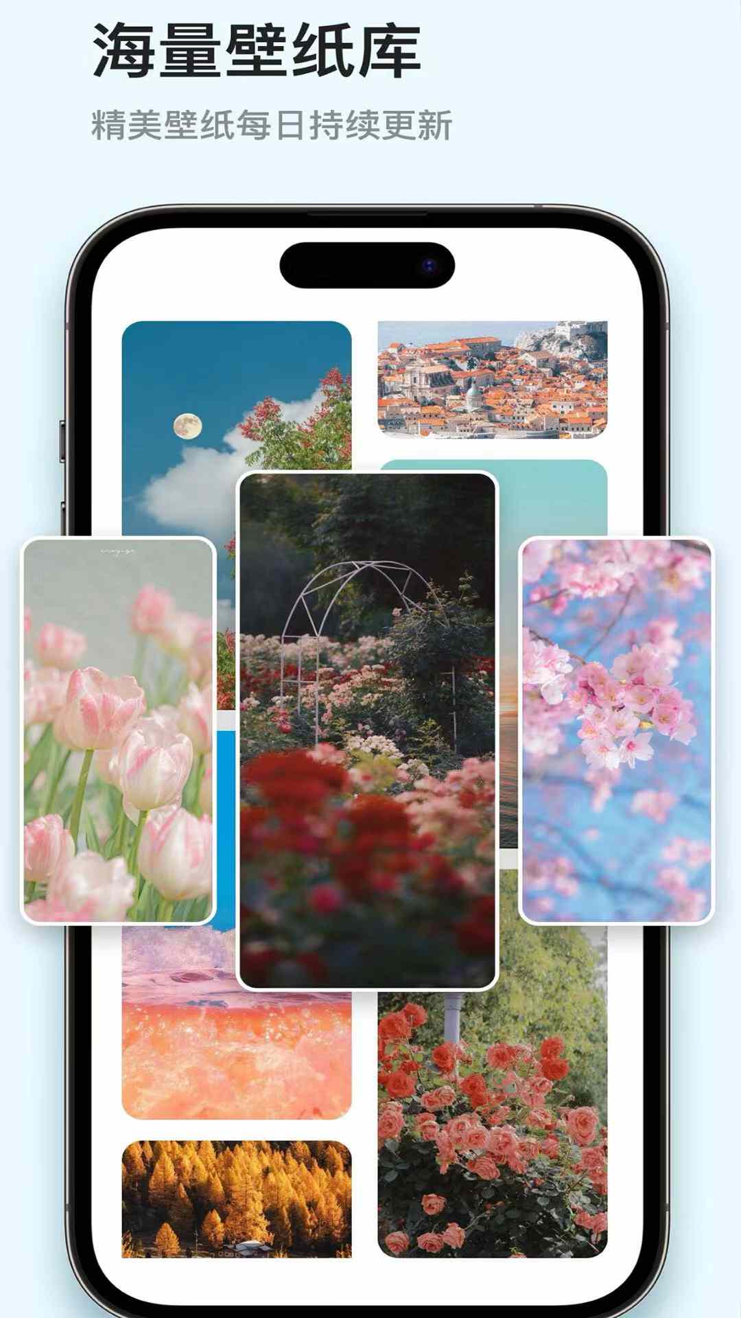 ��ֽ��ѡ��ͼ2