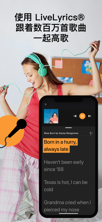 soundhound°2024ؽͼ2