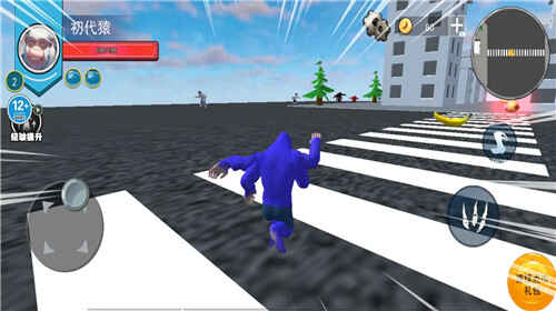 ���������Ҷ���ͼ4