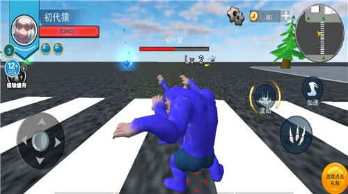 ���������Ҷ���ͼ2