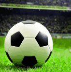 ����ھ�����