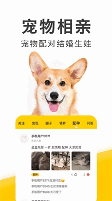 ��ֻ�����ͼ2