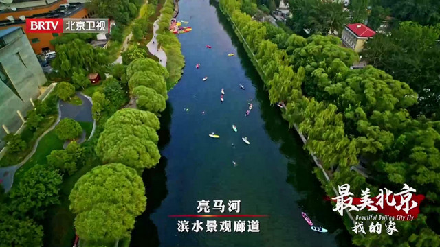 ��ȫֱ��T��ͼ3