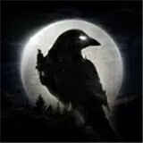 ҹѻֻ