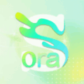 Sorai׿