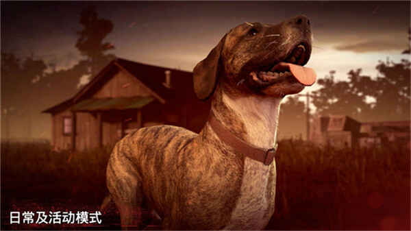 �´����˹�2���ν�ͼ1