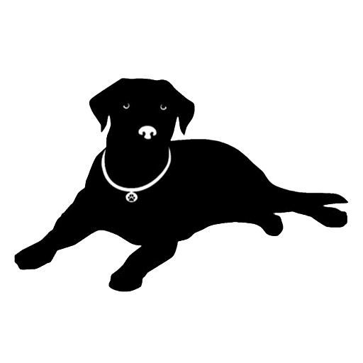ڹT logo