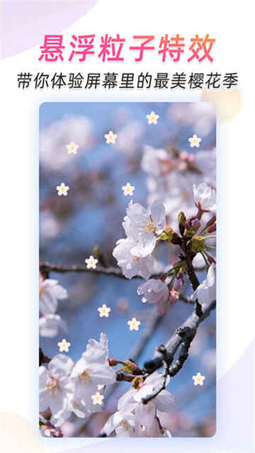 ΢��Ƶ��ֽ��ͼ4