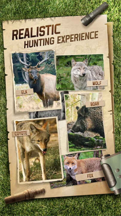 ���Ծѻ��ֽ�ͼ2