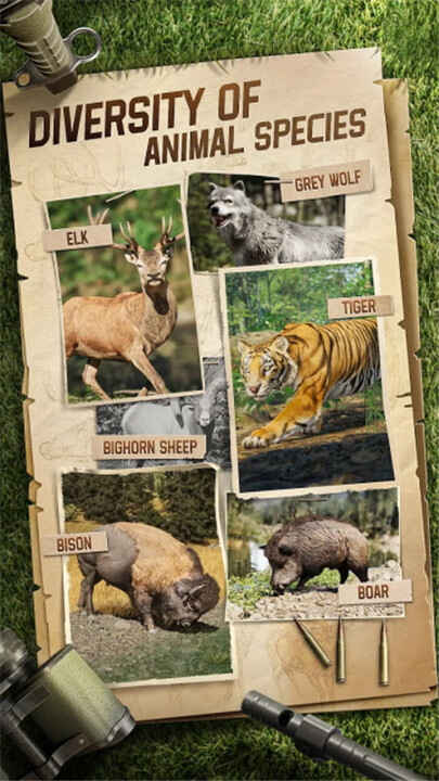 ���Ծѻ��ֽ�ͼ1