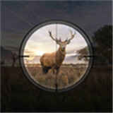 ���Ծѻ���