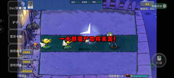 ֲսʬͼ5