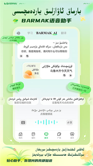 BARMAK���뷨��ͼ1