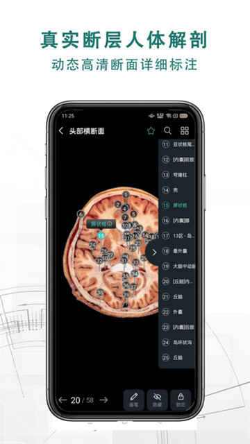 3dʽͼ4