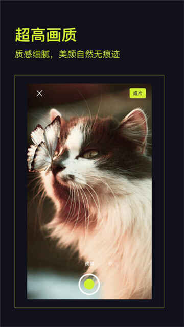 ����action��׿��ͼ1