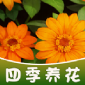 ļϷ氲׿