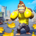 ģ
