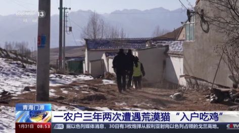 ����T��ͼ1