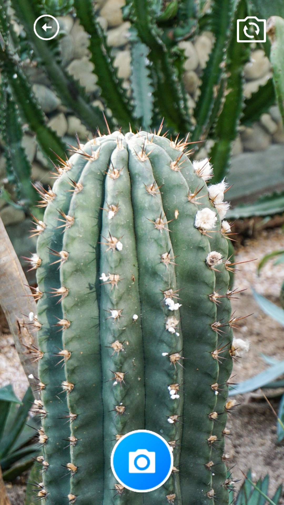 �ķ�ͨ������ͼ1