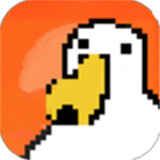 ����ɼ�����