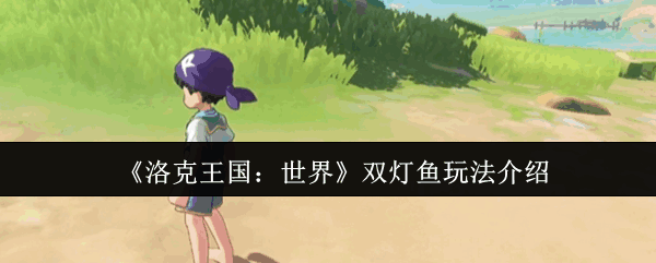 ˫淨ָ