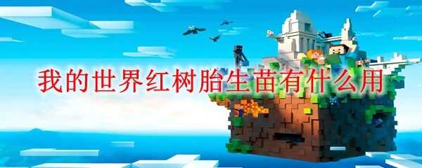 ҵ̥;ʲô