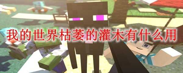 �ҵ������ή�Ĺ�ľ������ʲô2025