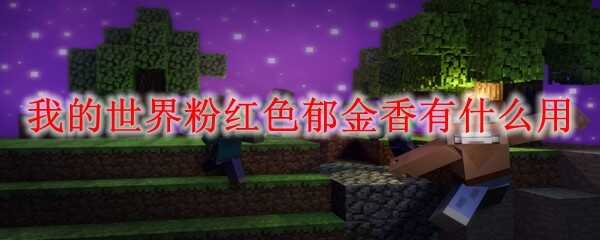 �ҵ�����ۺ�ɫ��������;��ʲô2025