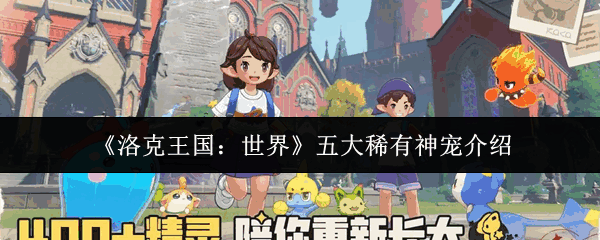 ����������������ϡ�����˵��