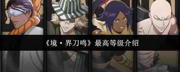 �����絶����ߵȼ�����