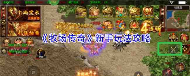 �������������淨����