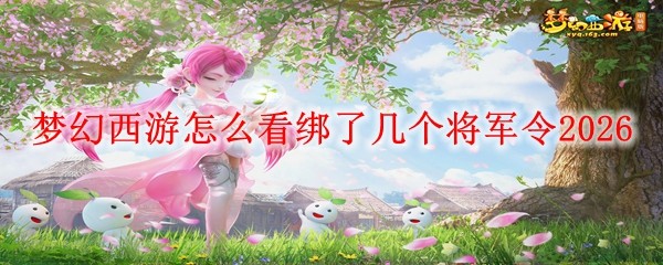 �λ�������ô�����˼���������2026