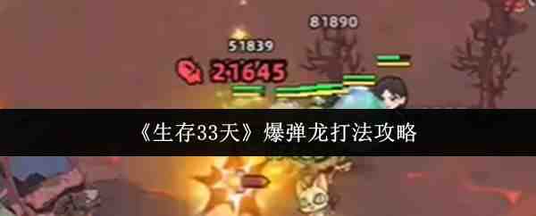 ����33�챬������ָ��