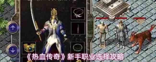 ��Ѫ��������ְҵѡ��˵��