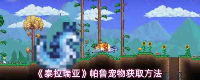 ̩��������³�������Ļ�ȡ