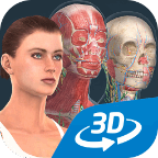���๹��3DHuman body